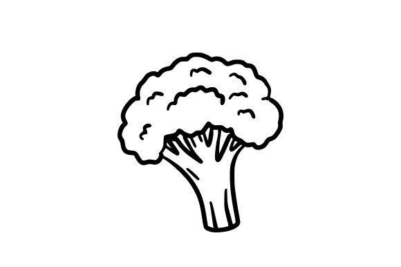 Broccoli Sketch: A Graphic Asset for Modern Design
