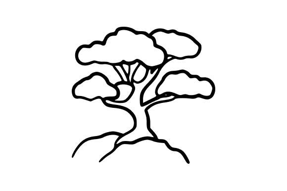 Outline Gnarled Tree Graphics for Digital Sellers