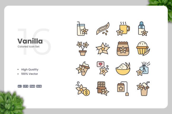 Vanilla Colored Graphics for Modern Branding